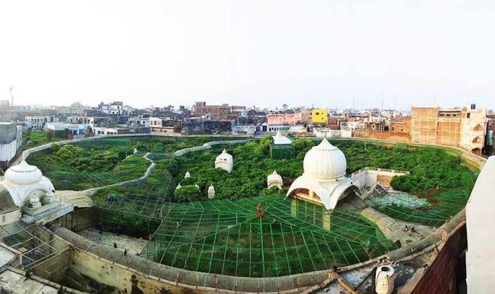 Nidhivan Vrindavan – Sacred Grove of Lord Krishna’s Divine Raasleela
